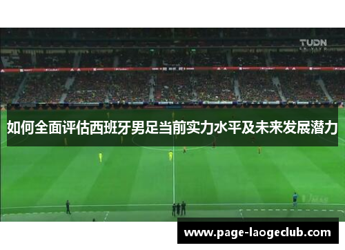 如何全面评估西班牙男足当前实力水平及未来发展潜力