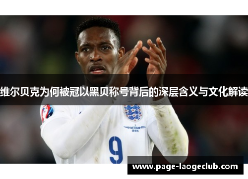 维尔贝克为何被冠以黑贝称号背后的深层含义与文化解读