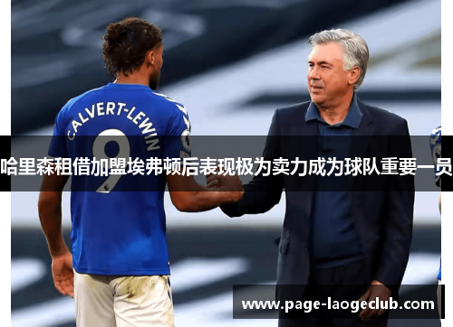 哈里森租借加盟埃弗顿后表现极为卖力成为球队重要一员 哈里森租借加盟埃弗顿后表现极为卖力成为球队重要一员