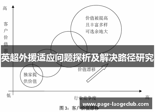 英超外援适应问题探析及解决路径研究